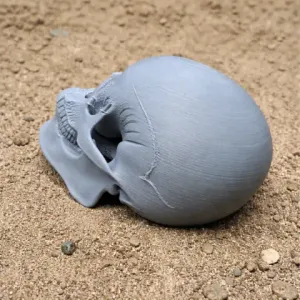 Aorun Skull - Skull Replica STL