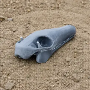 Arackar Skull - Skull Replica STL