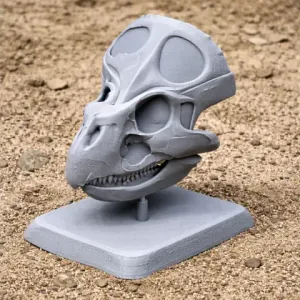 Breviceratops Skull - Skull Replica STL