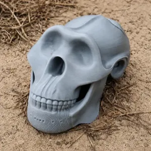 Meganthropus Skull - Skull Replica STL