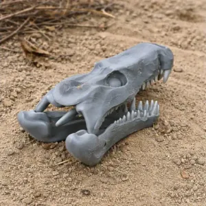 Quinkana Skull - Skull Replica STL