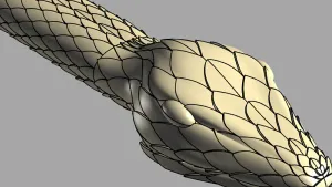 Snake